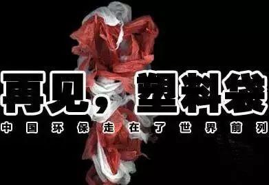 告别“白色污染” 湖北乡镇的“禁塑”新篇章